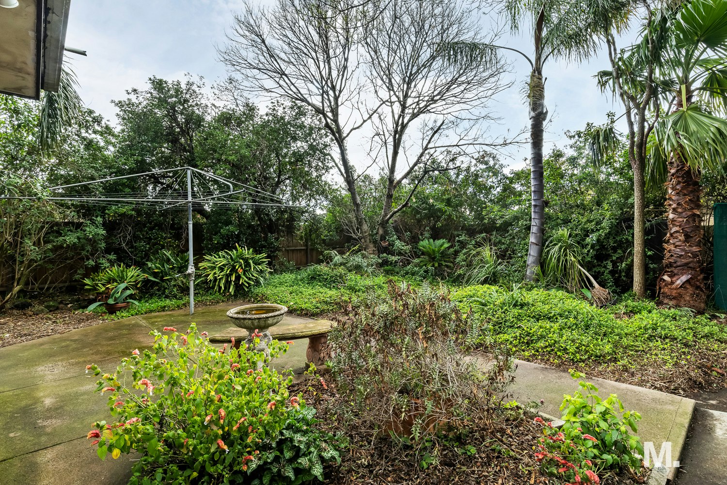 garden