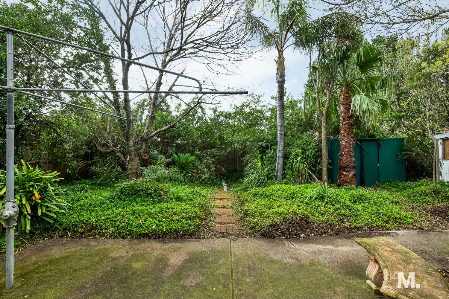 garden