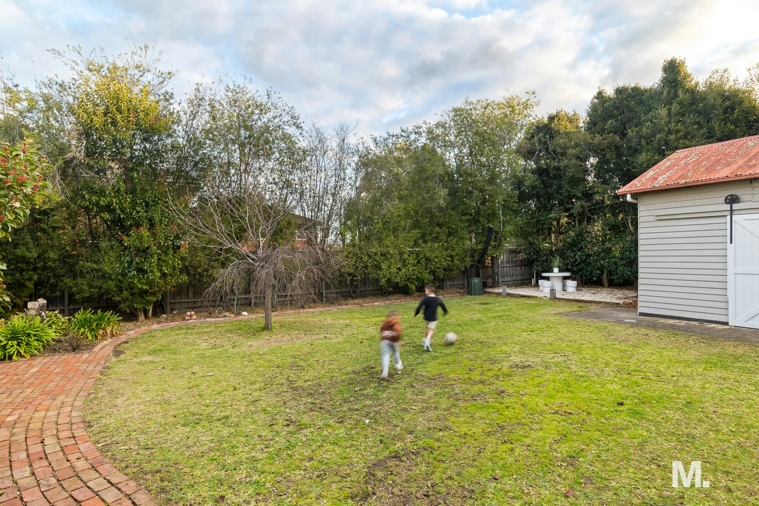 backyard