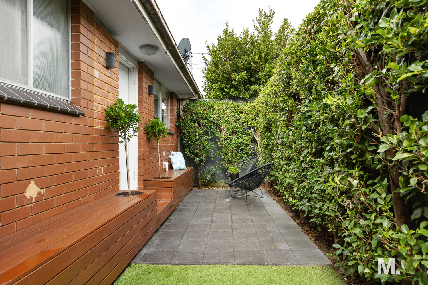 hedge