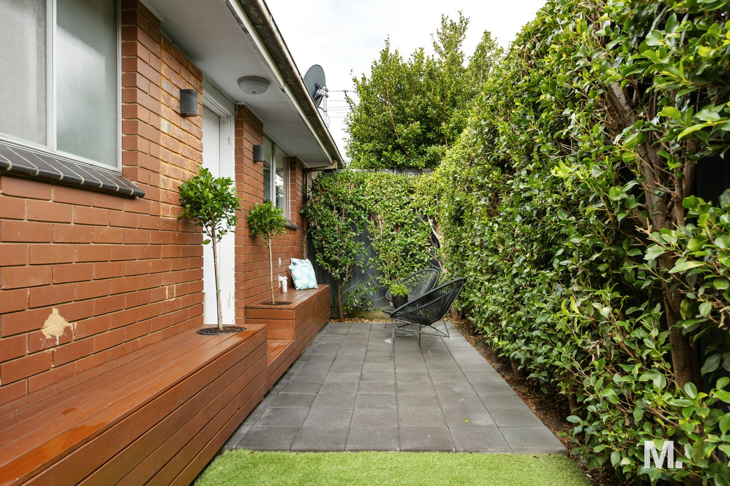 hedge