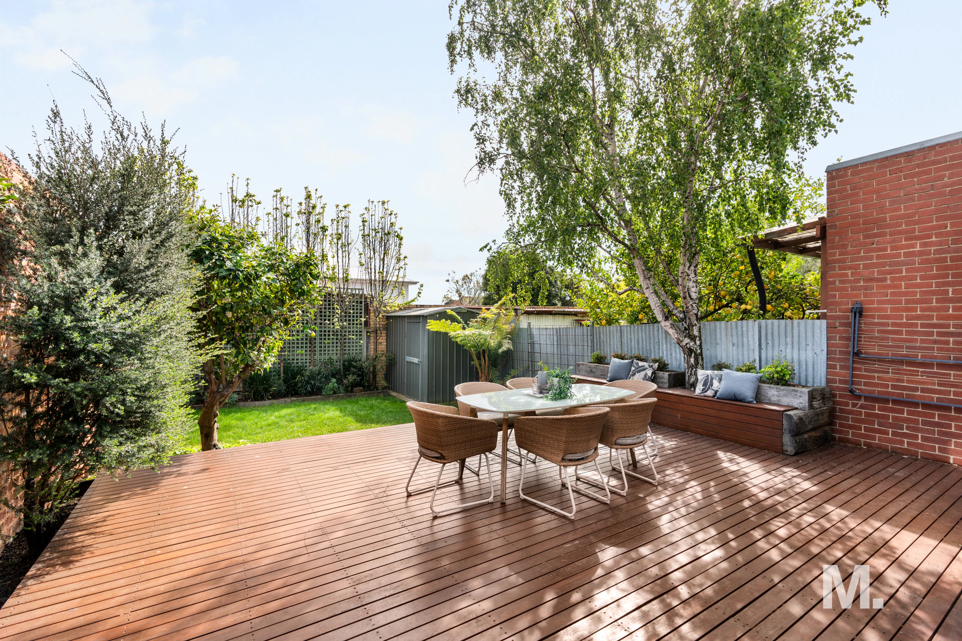 backyard