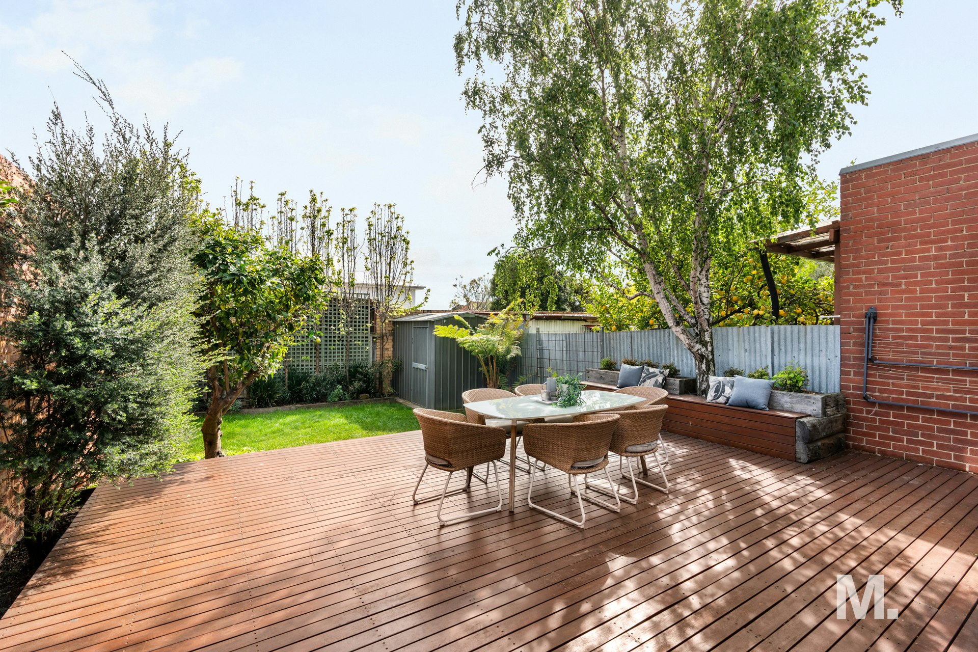 backyard