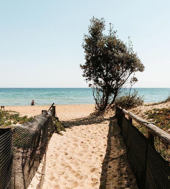 Image of horizon