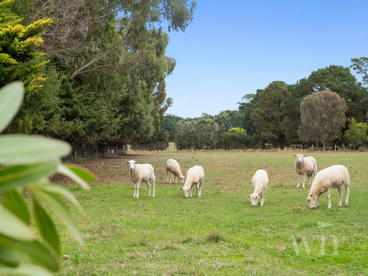 Image of countryside