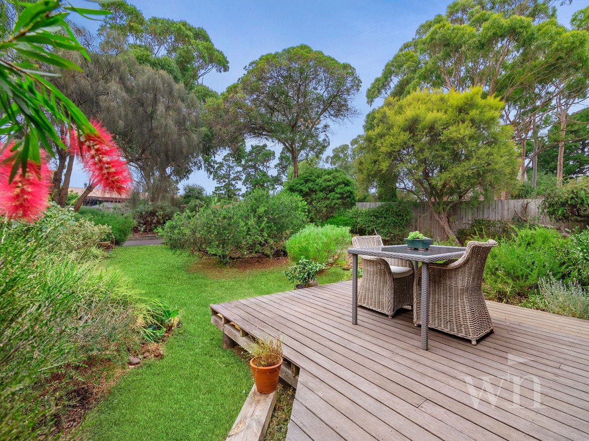 Image of backyard