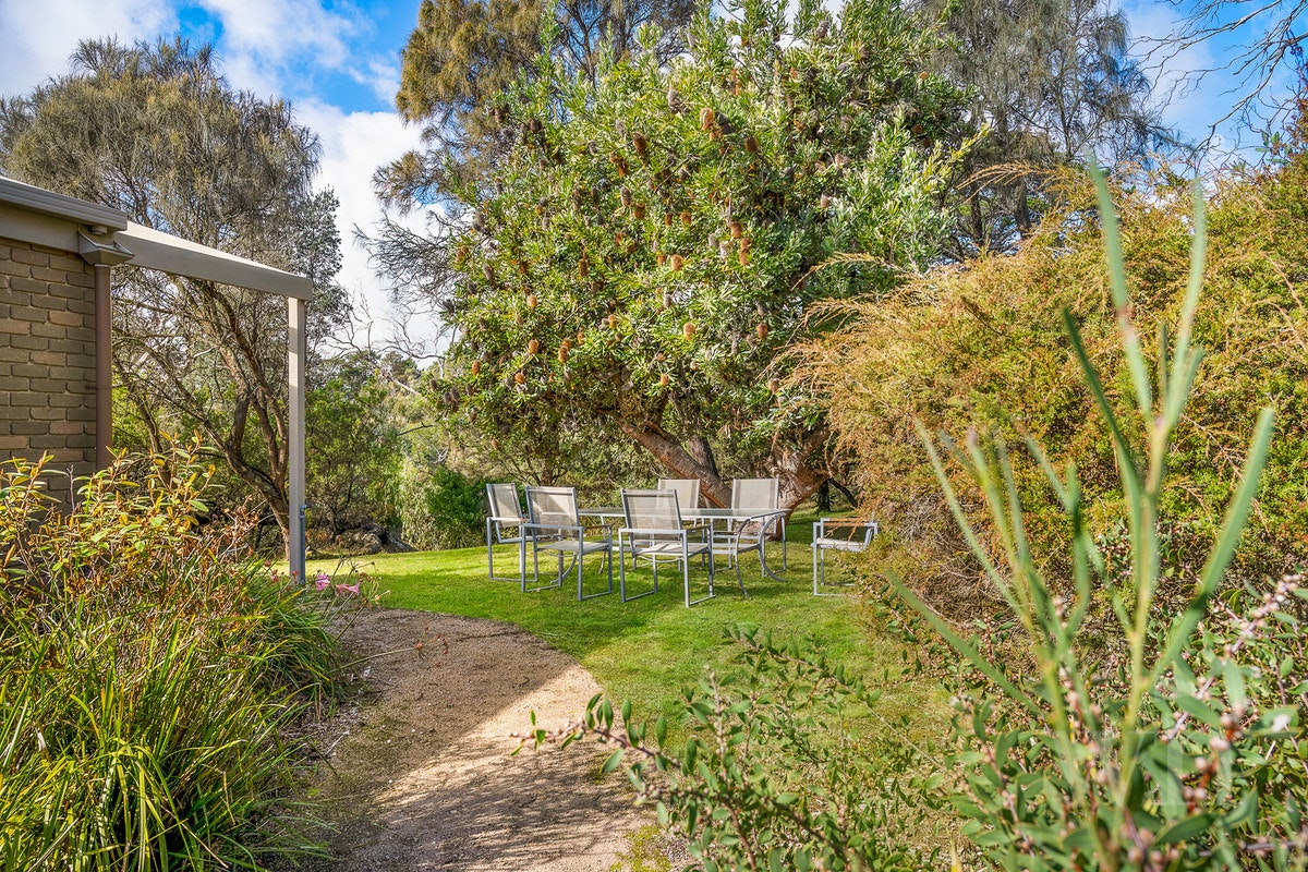 Image of backyard