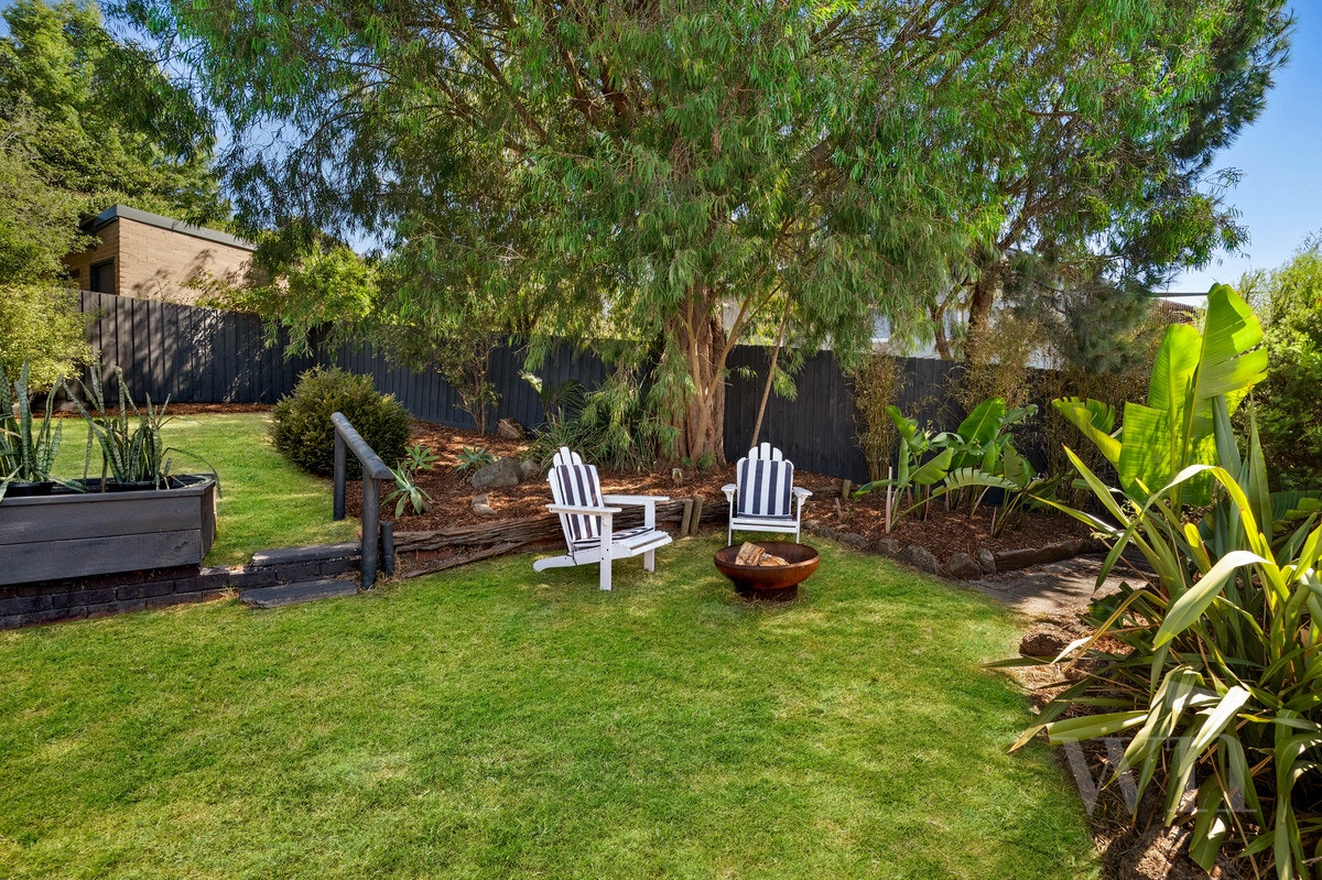 Image of backyard