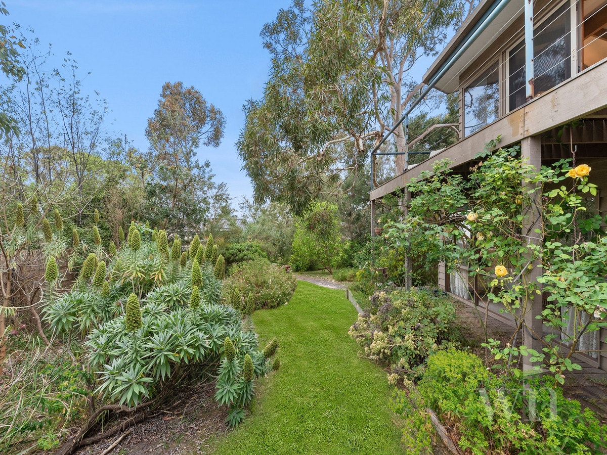 Image of garden