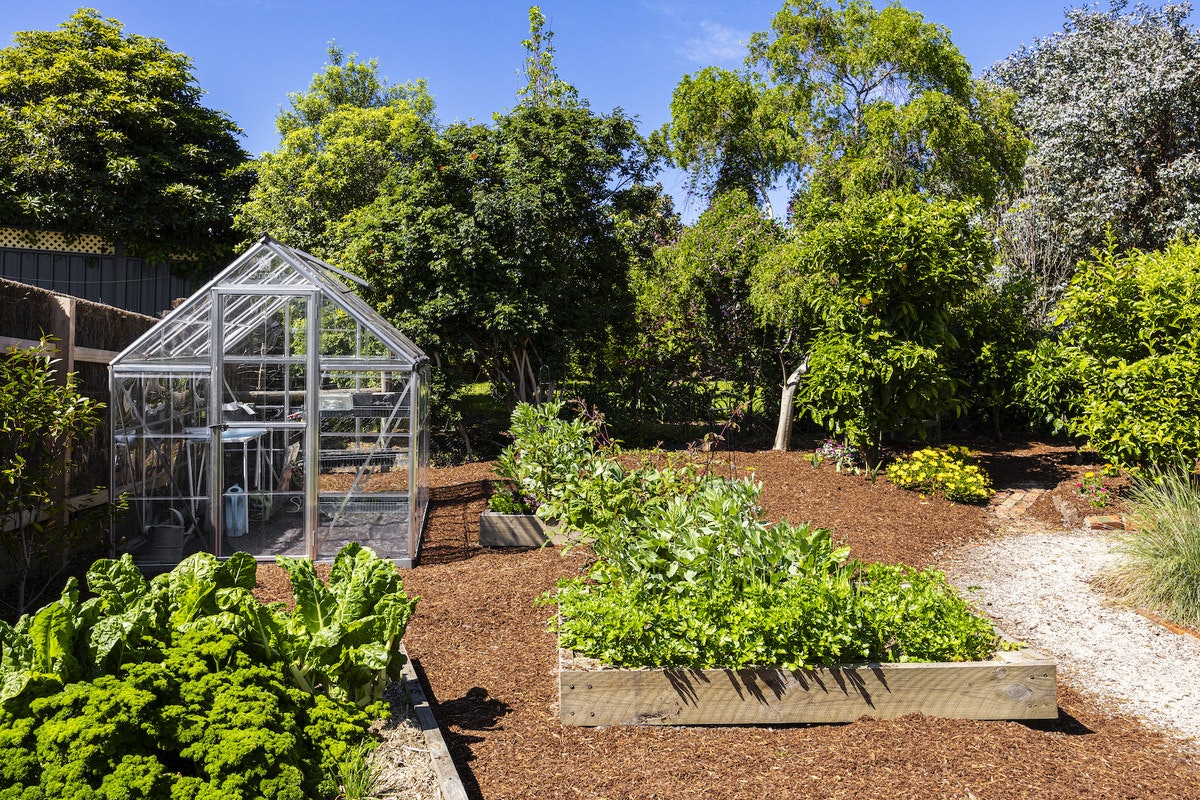 Image of garden
