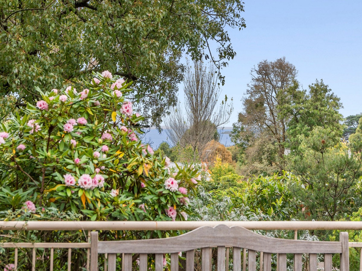 Image of garden