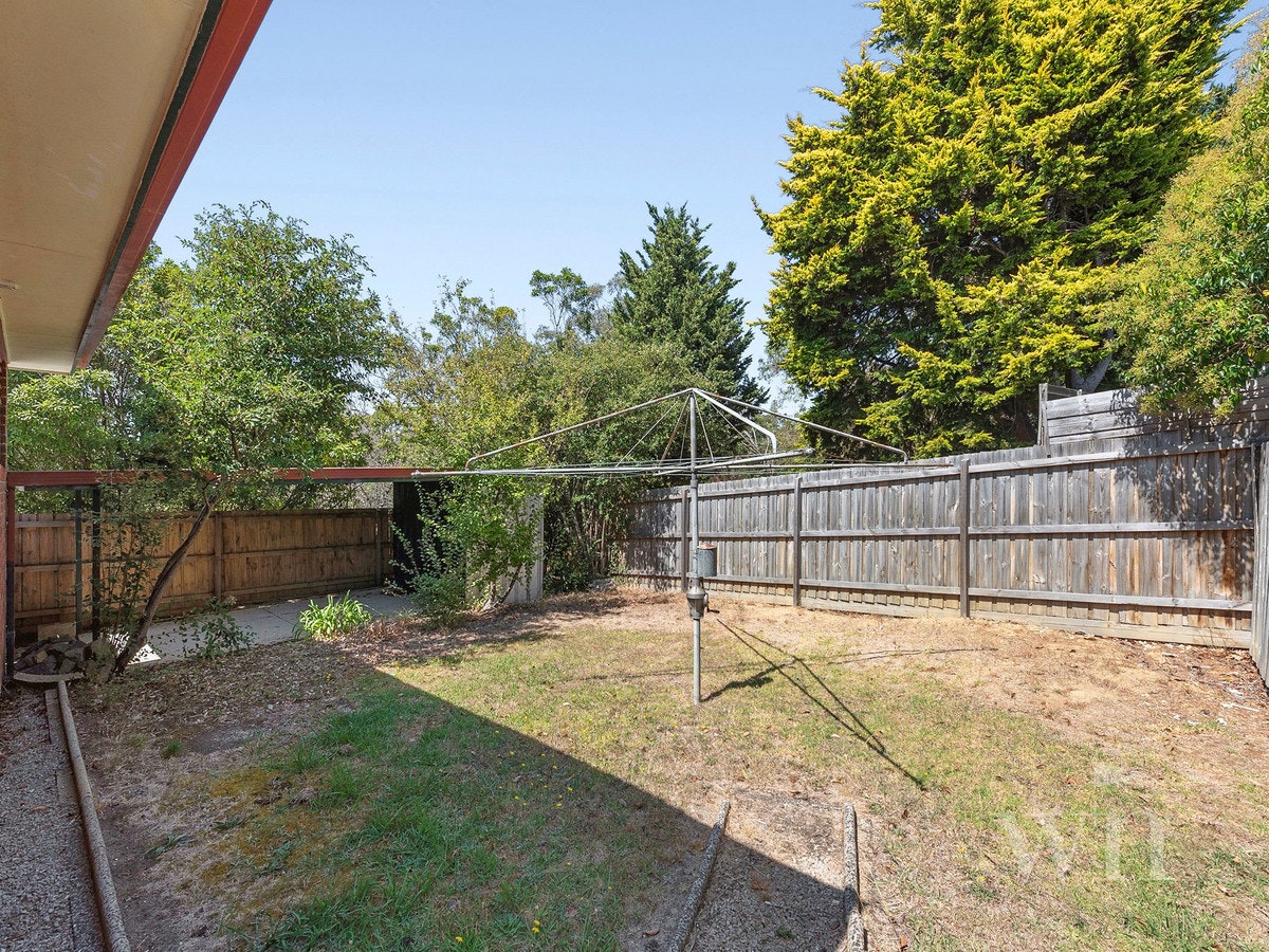 Image of backyard