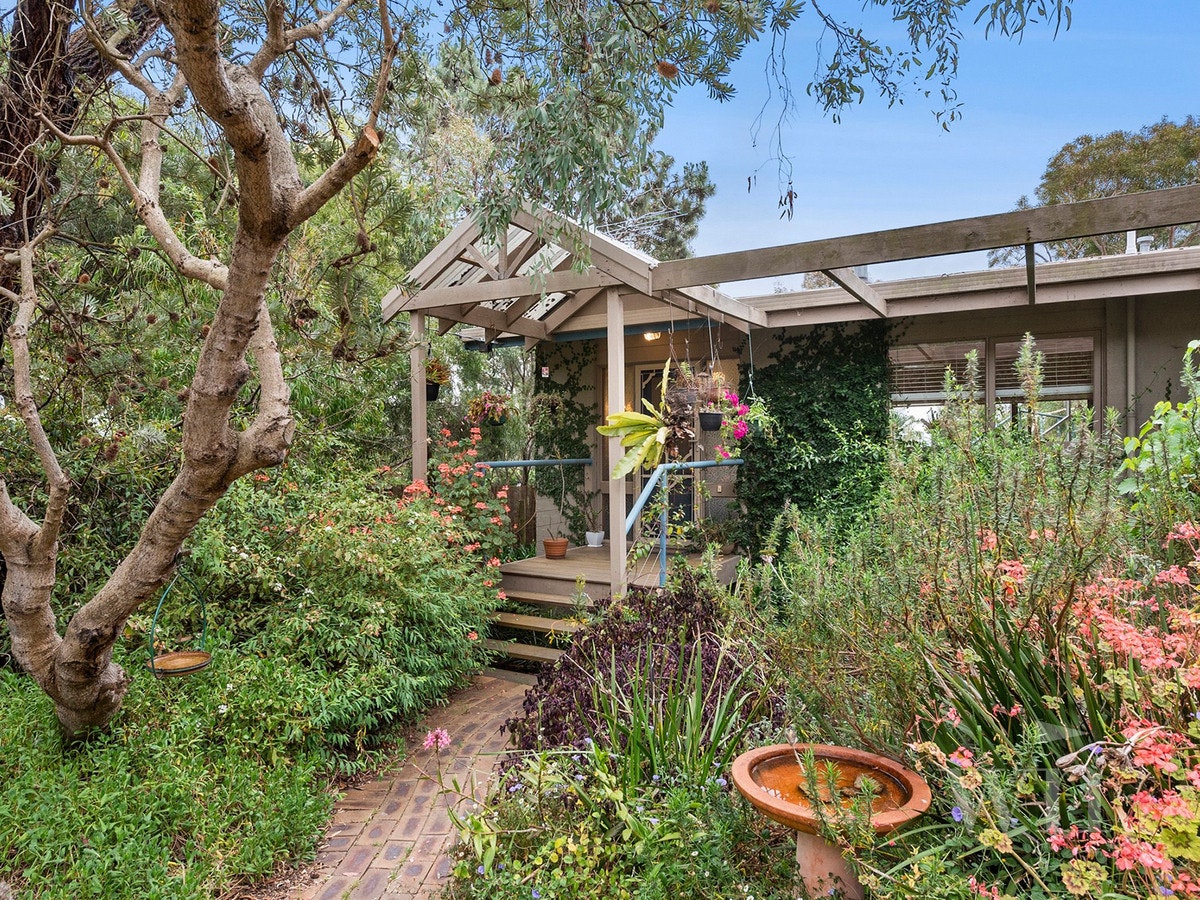 Image of garden