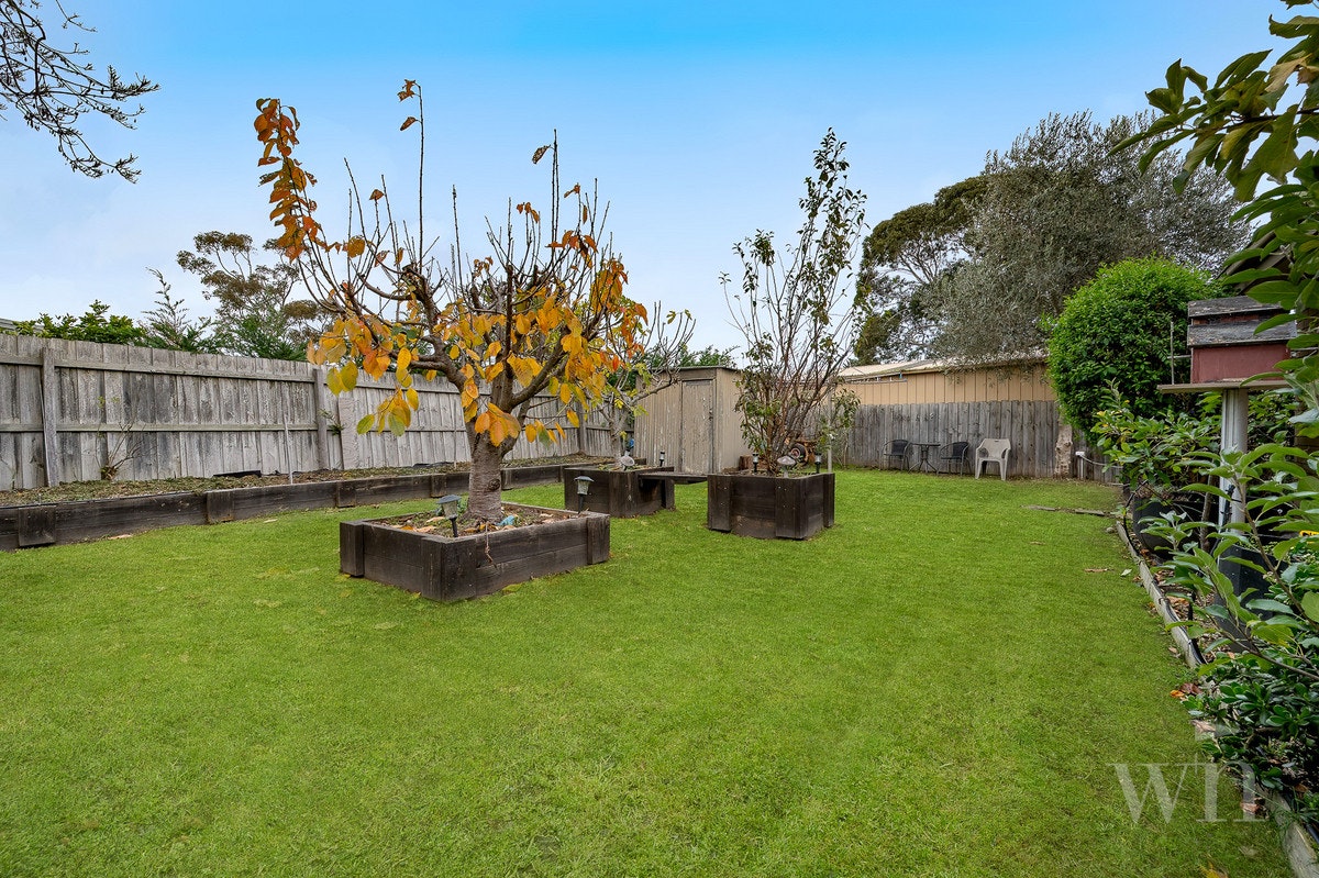 Image of backyard