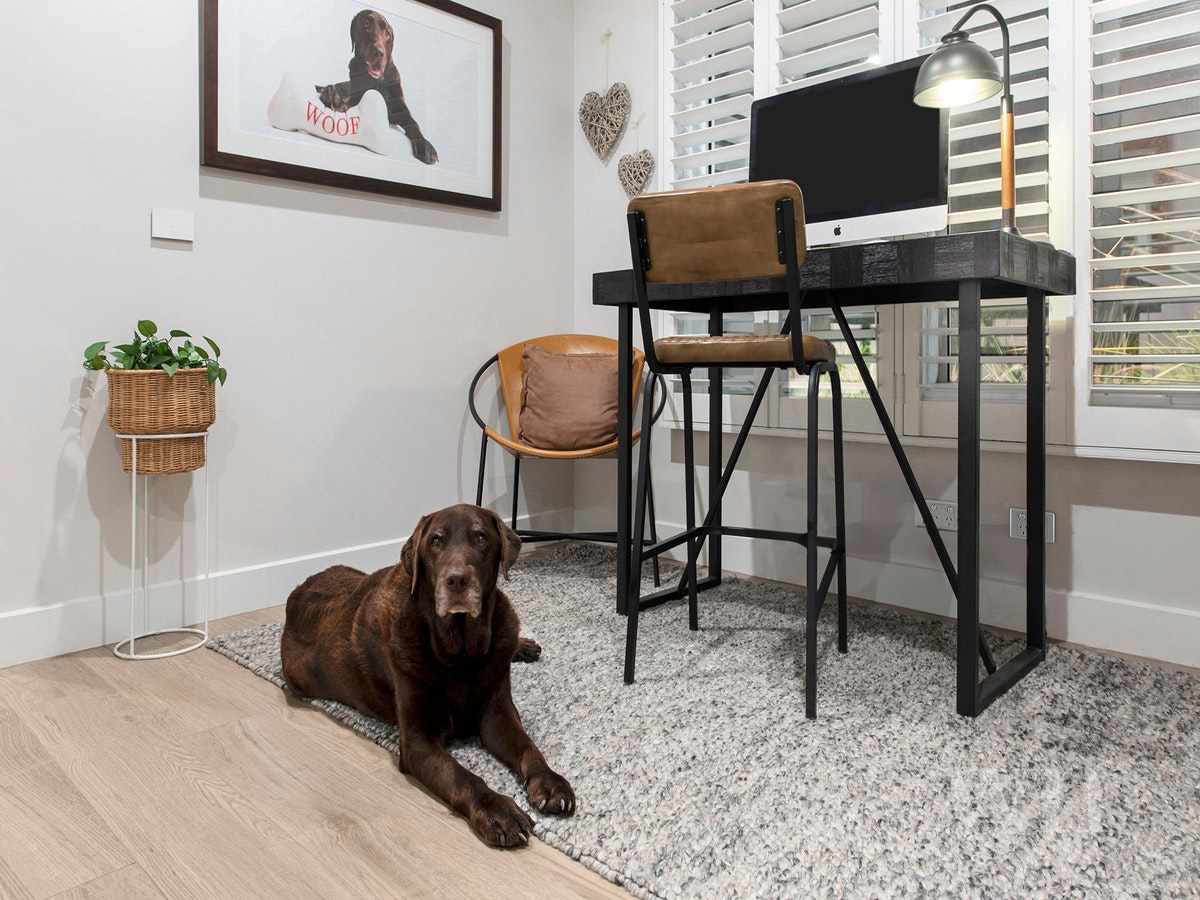Image of furniture