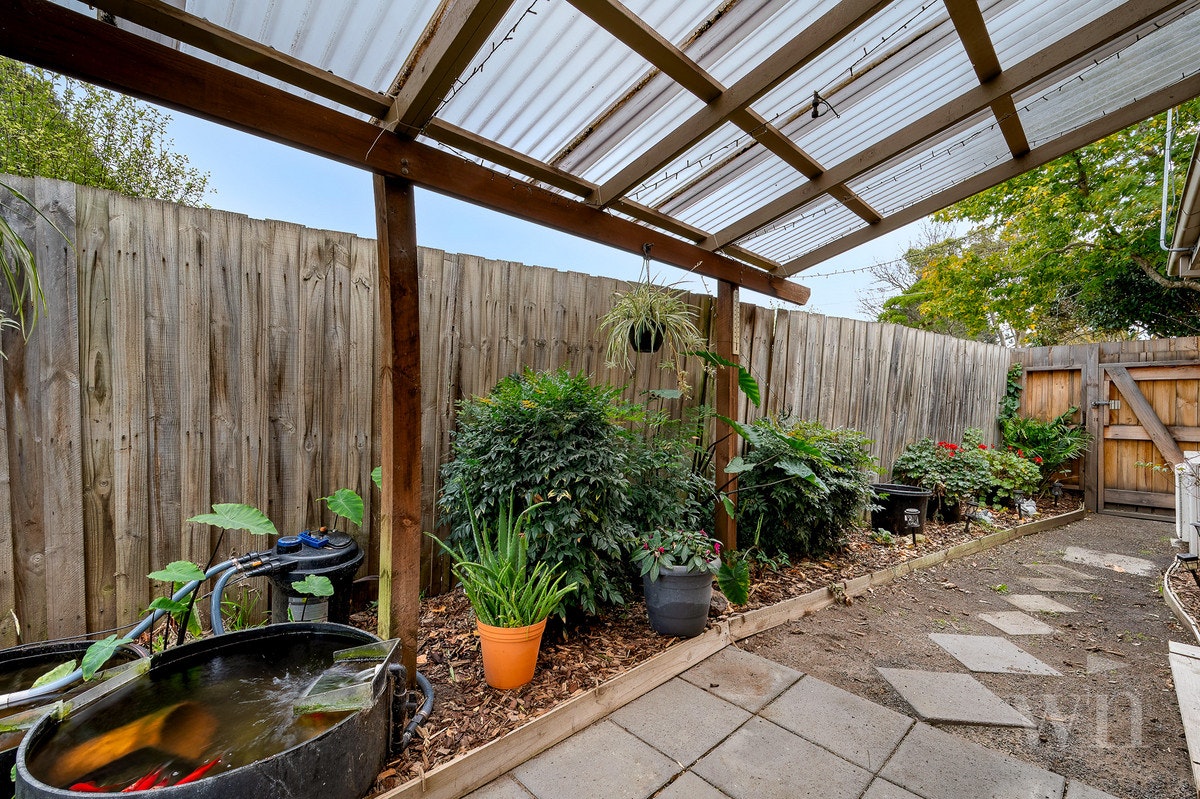 Image of backyard