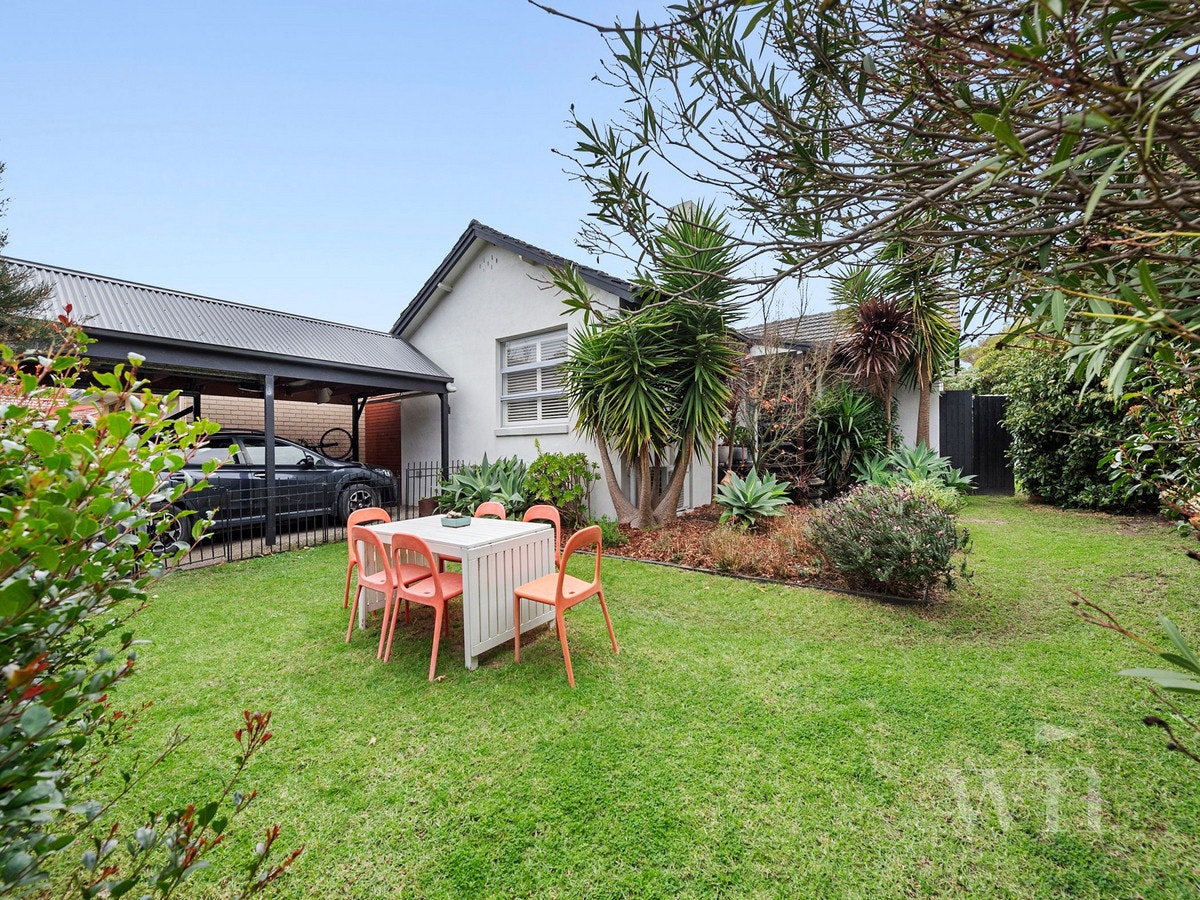 Image of backyard