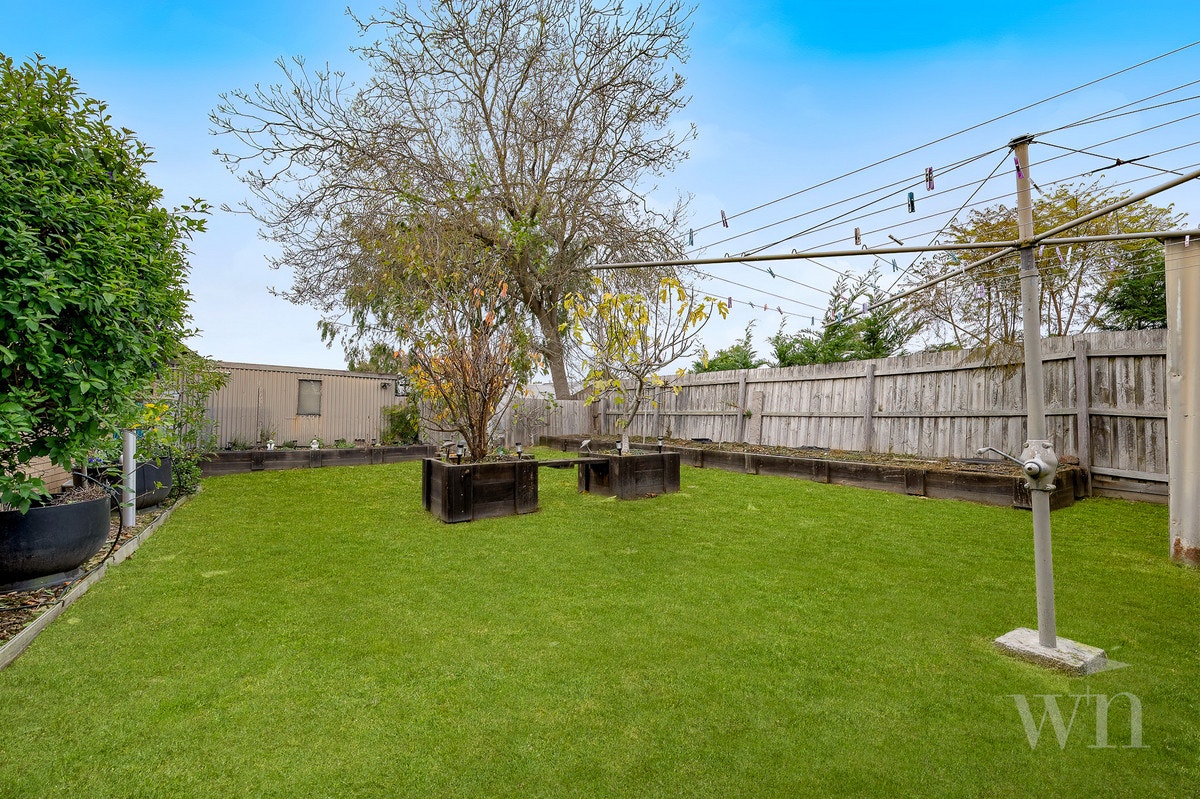 Image of backyard