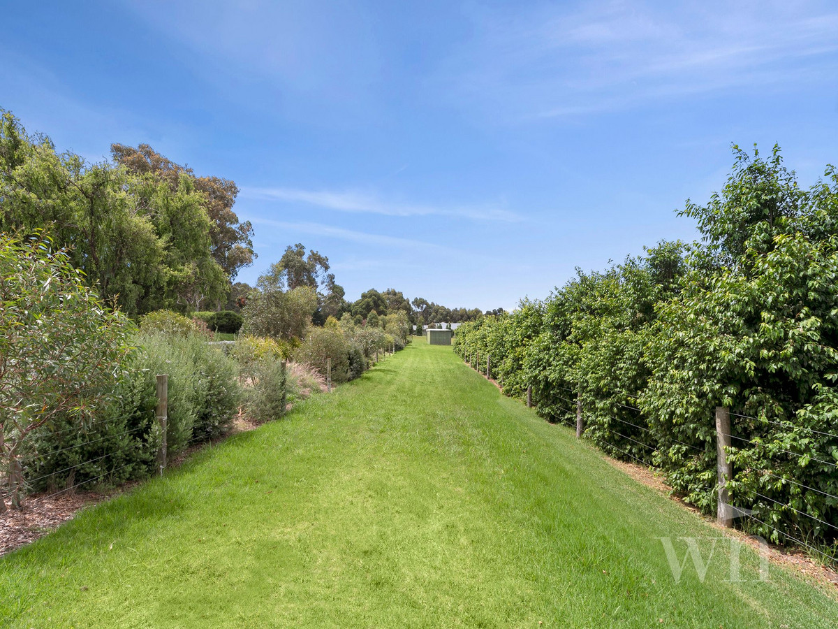 329 Craigie Road, Mount Martha - Thumbnail 3