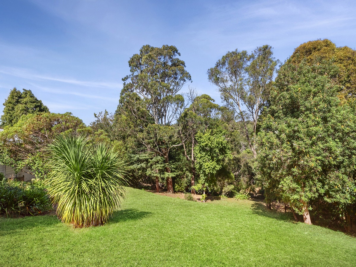 Image of grass