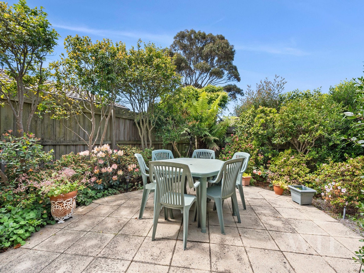 Image of backyard