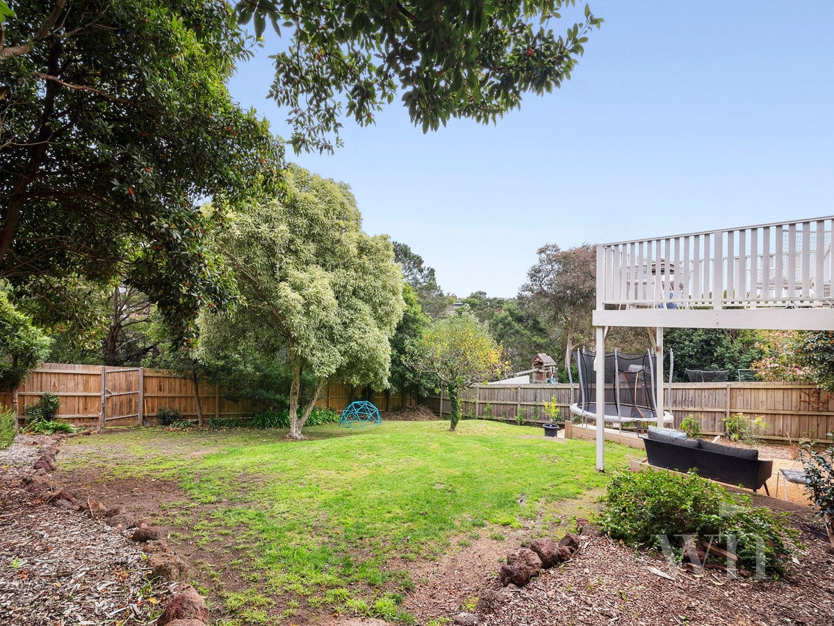 Image of backyard