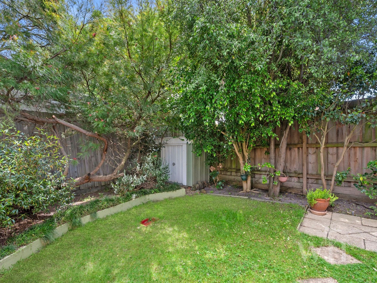 Image of backyard