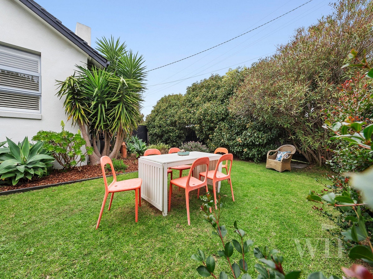 Image of backyard
