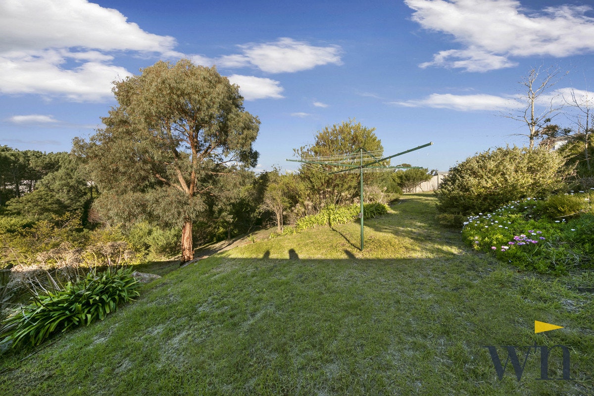 Image of grass
