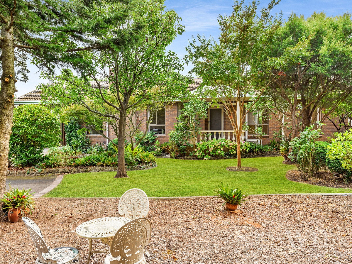 Image of backyard