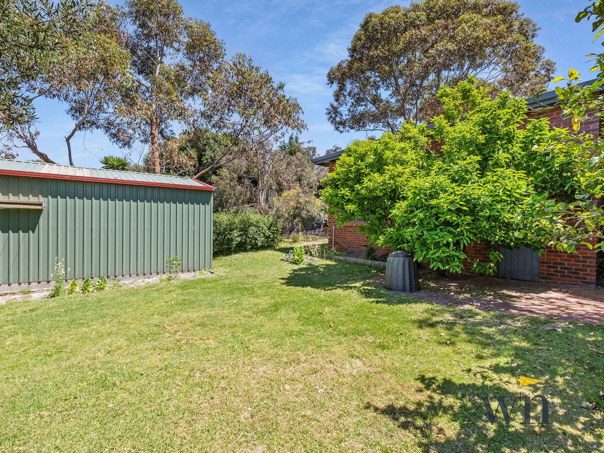 Image of backyard