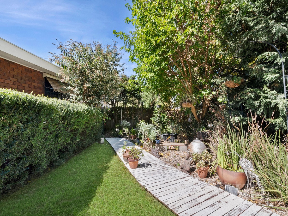 Image of backyard