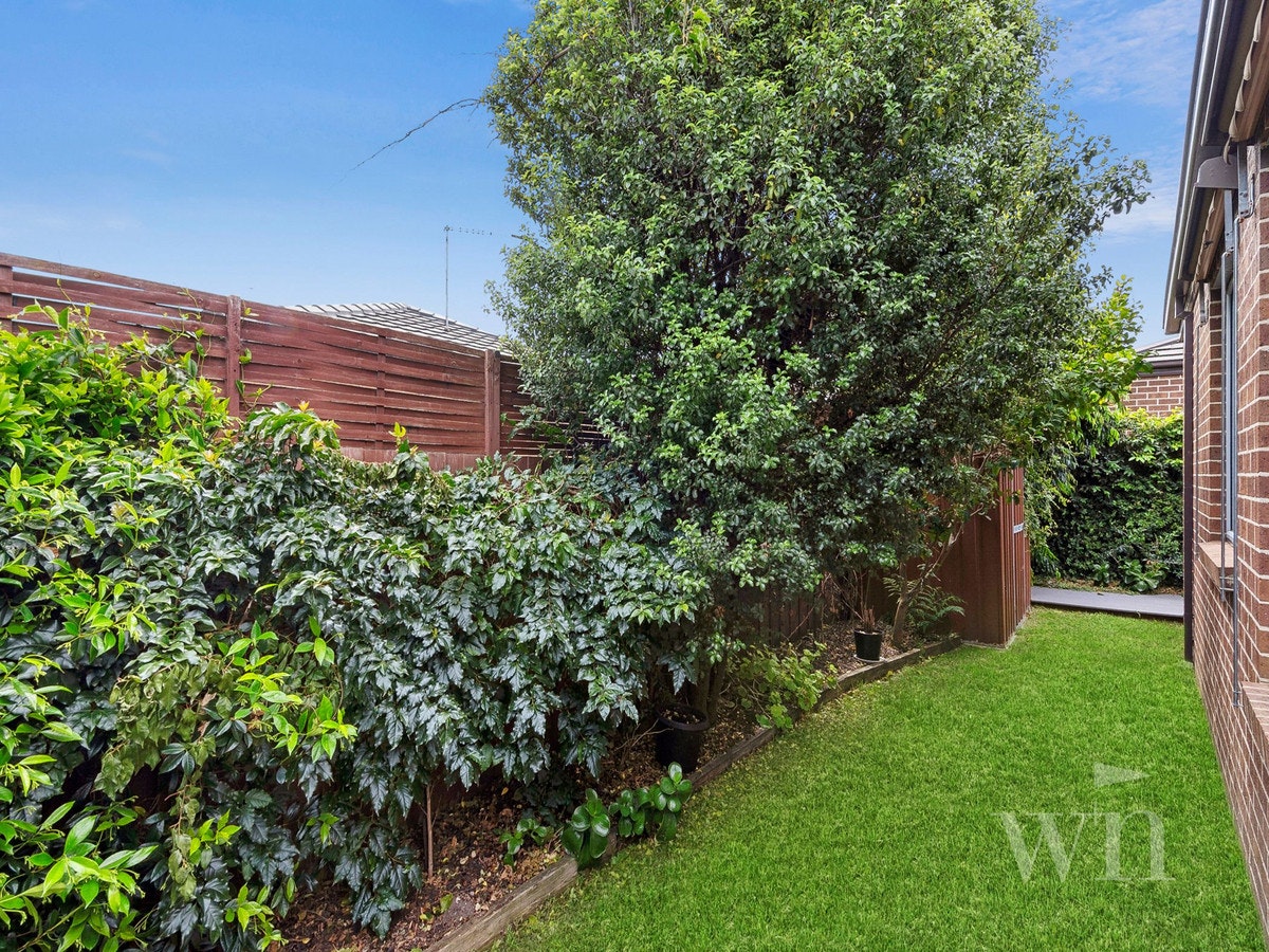 Image of backyard