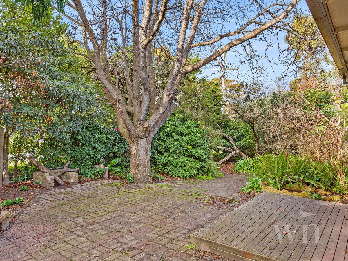 Image of path