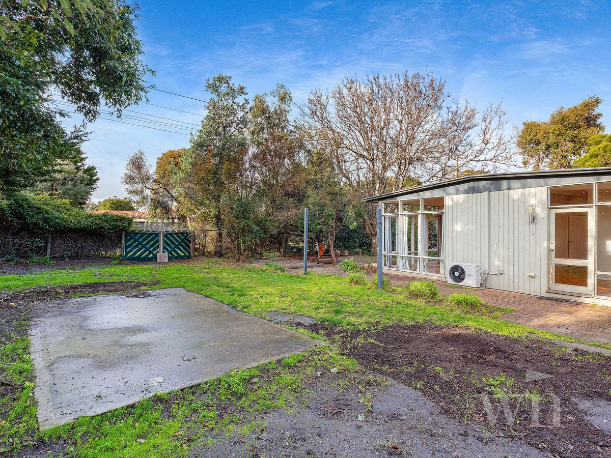 Image of backyard