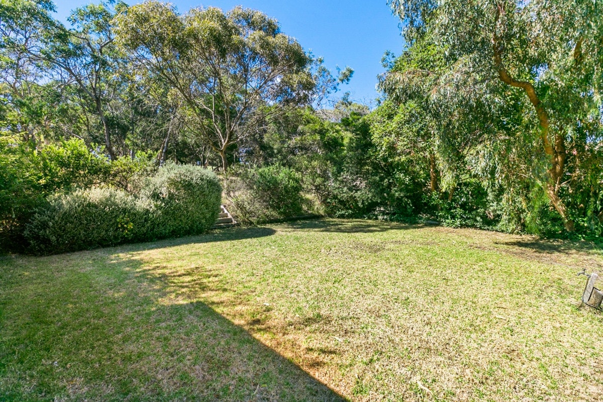 Image of grass