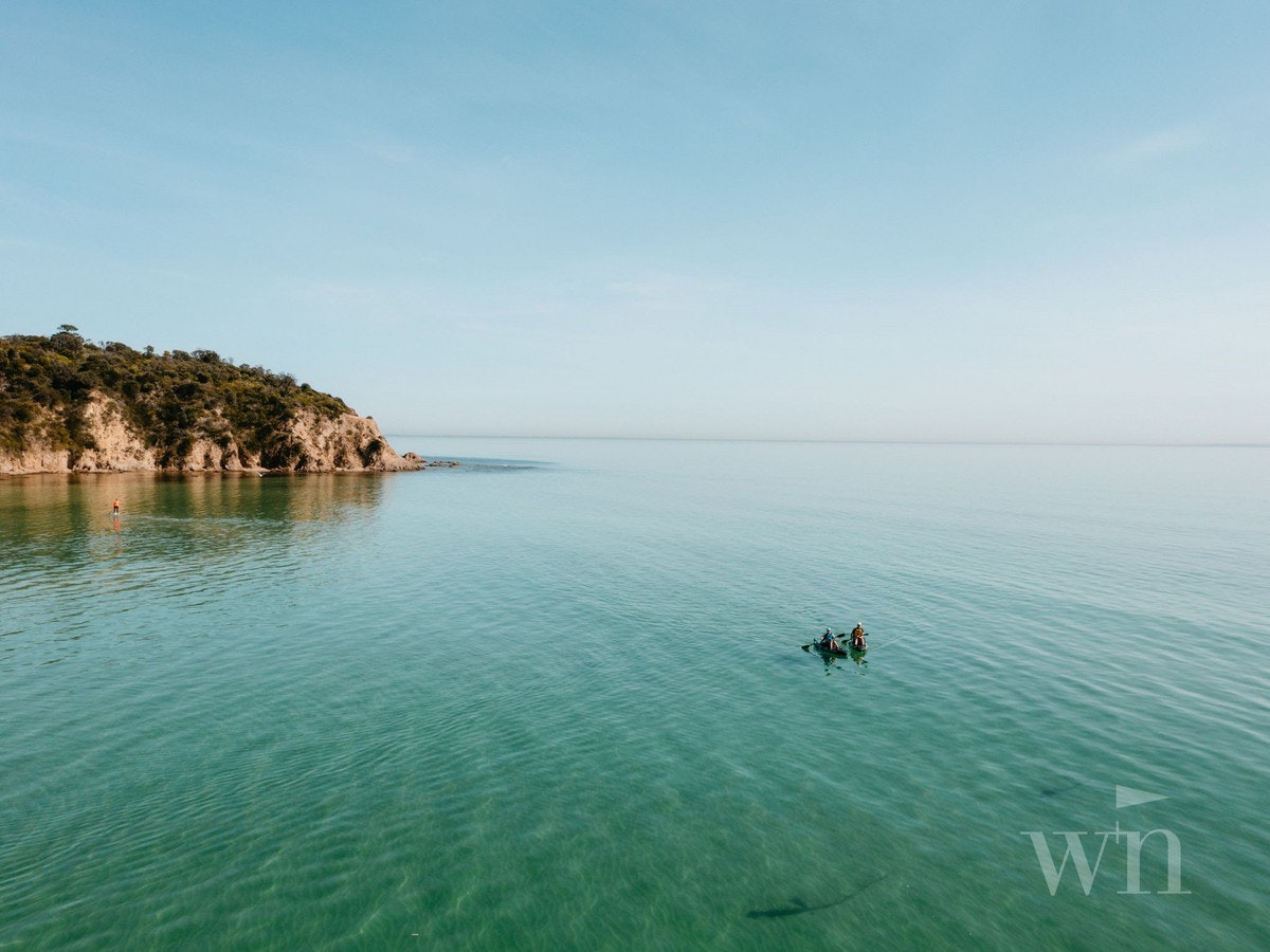 Image of swimming