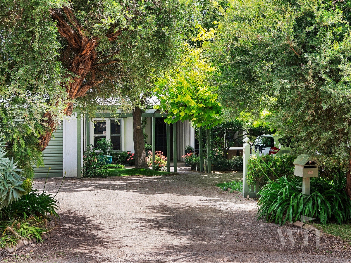 Image of garden