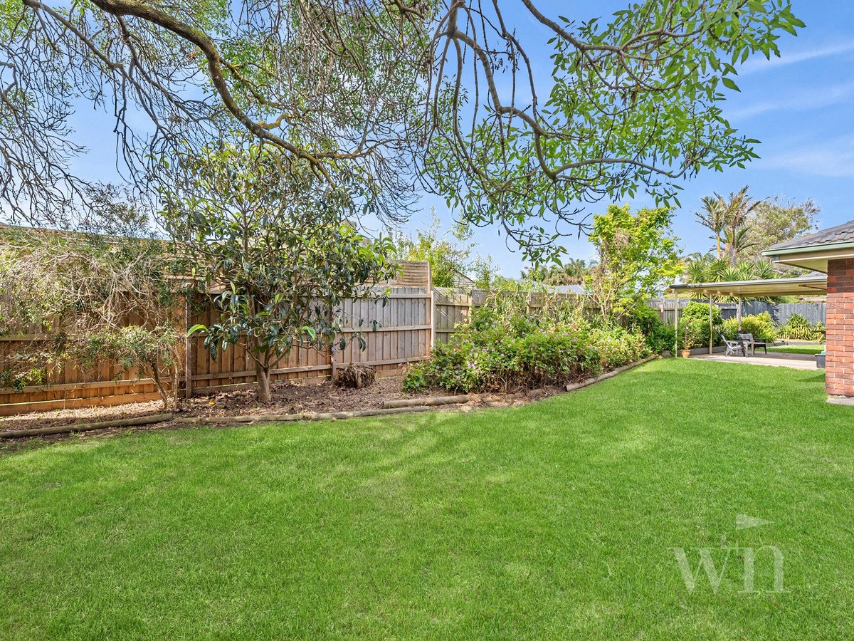 Image of backyard