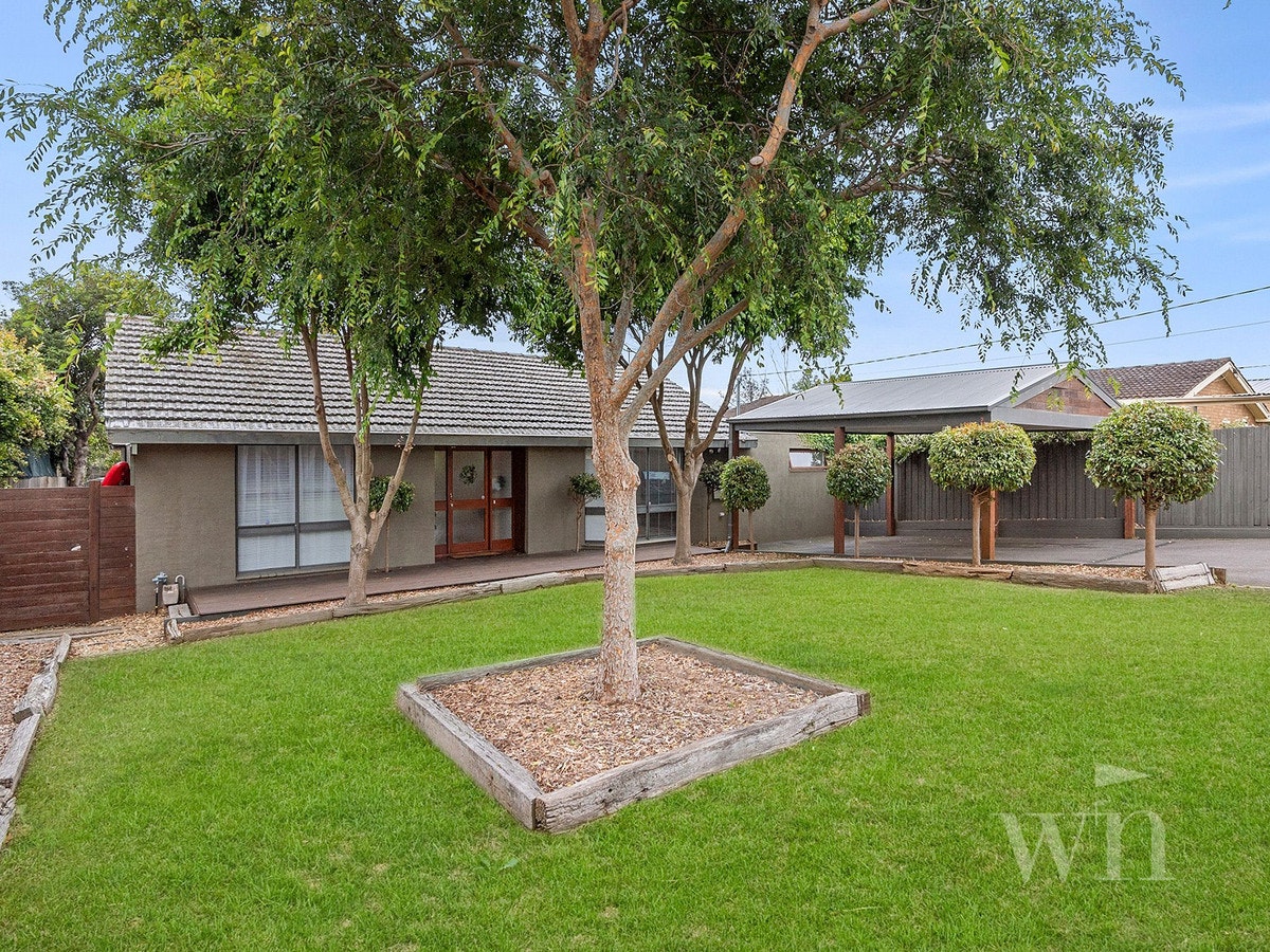 Image of backyard