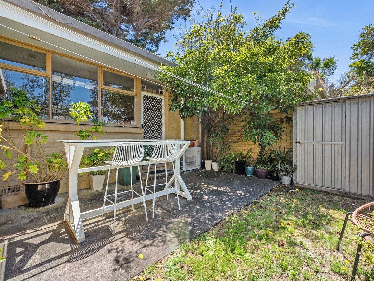 Image of backyard