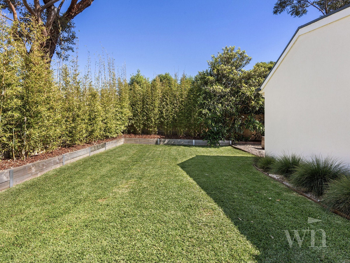Image of backyard