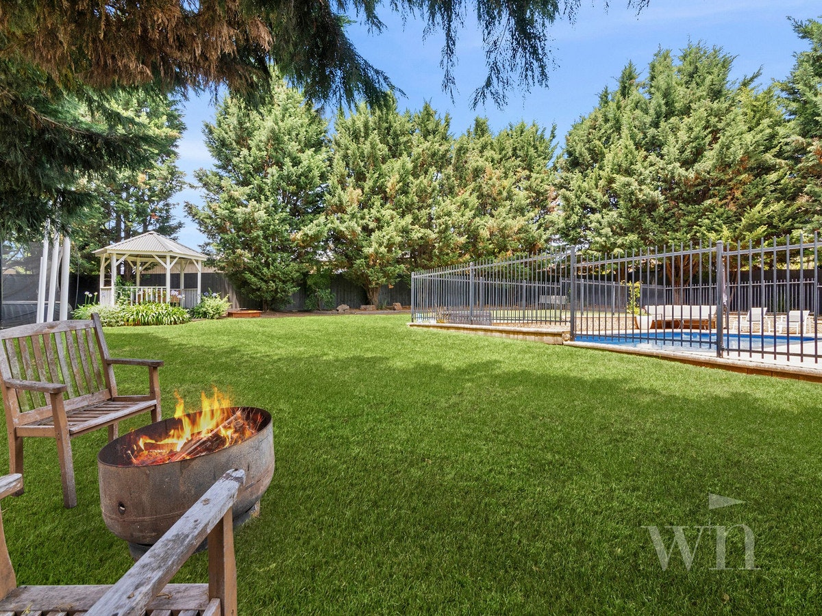Image of backyard