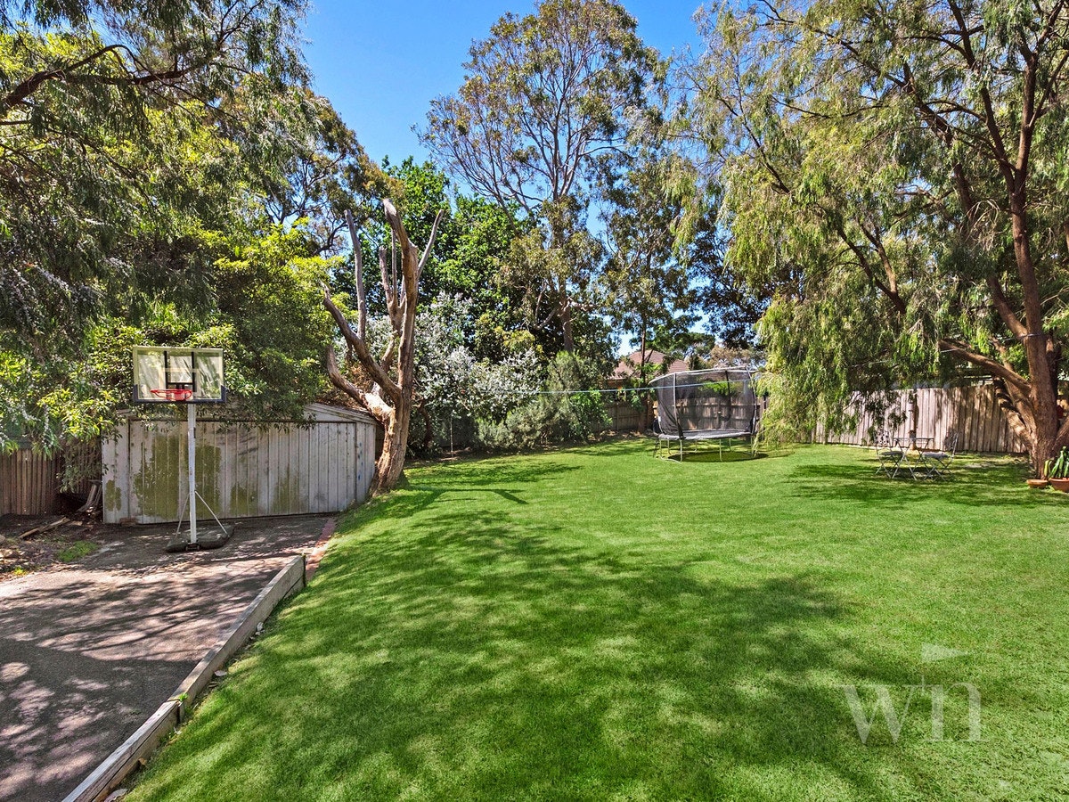 Image of backyard
