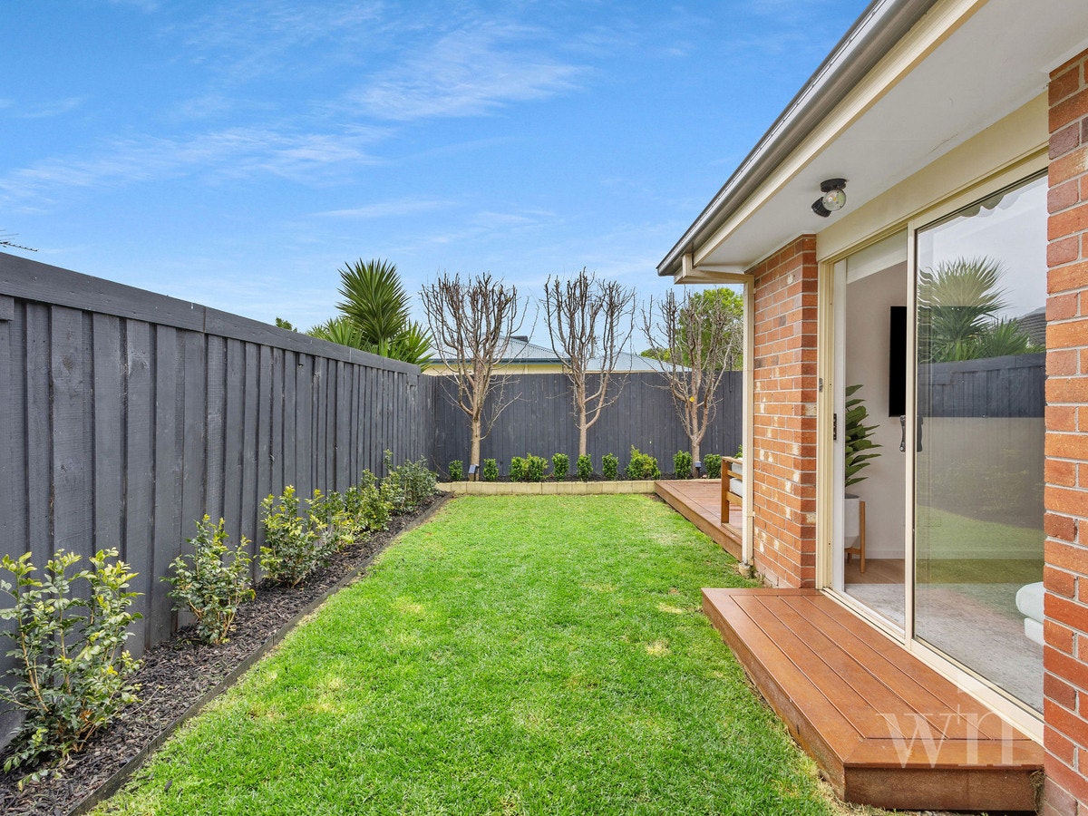 Image of backyard
