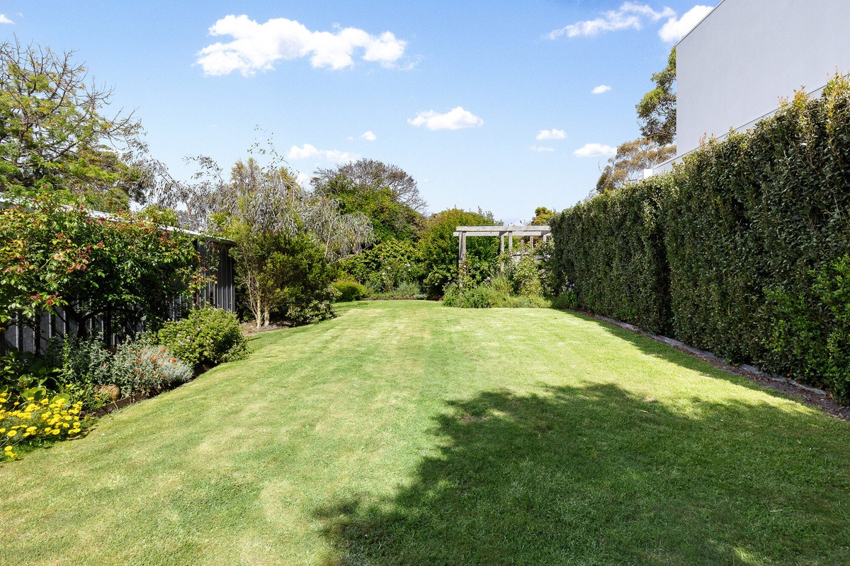 Image of grass
