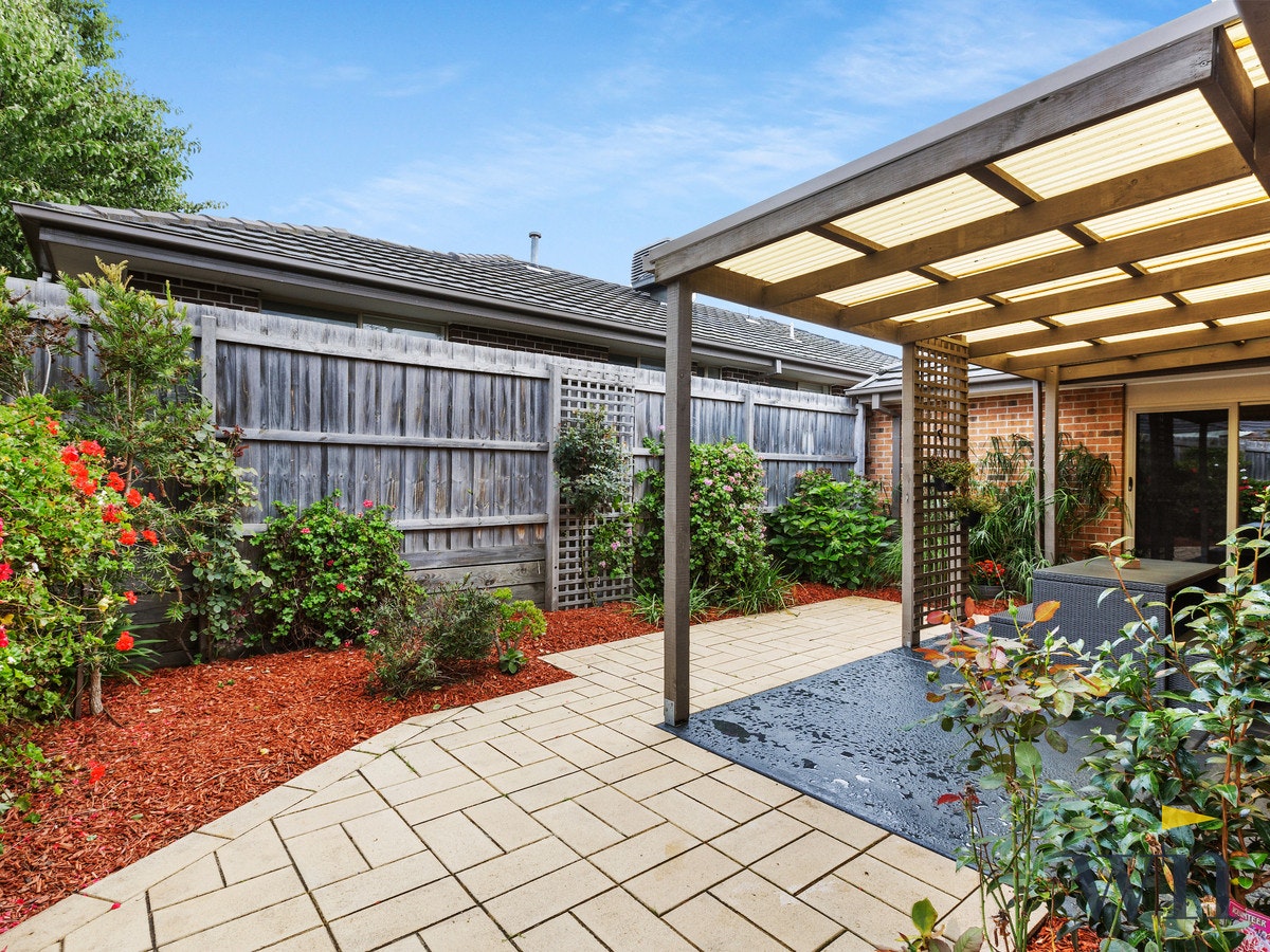 Image of backyard