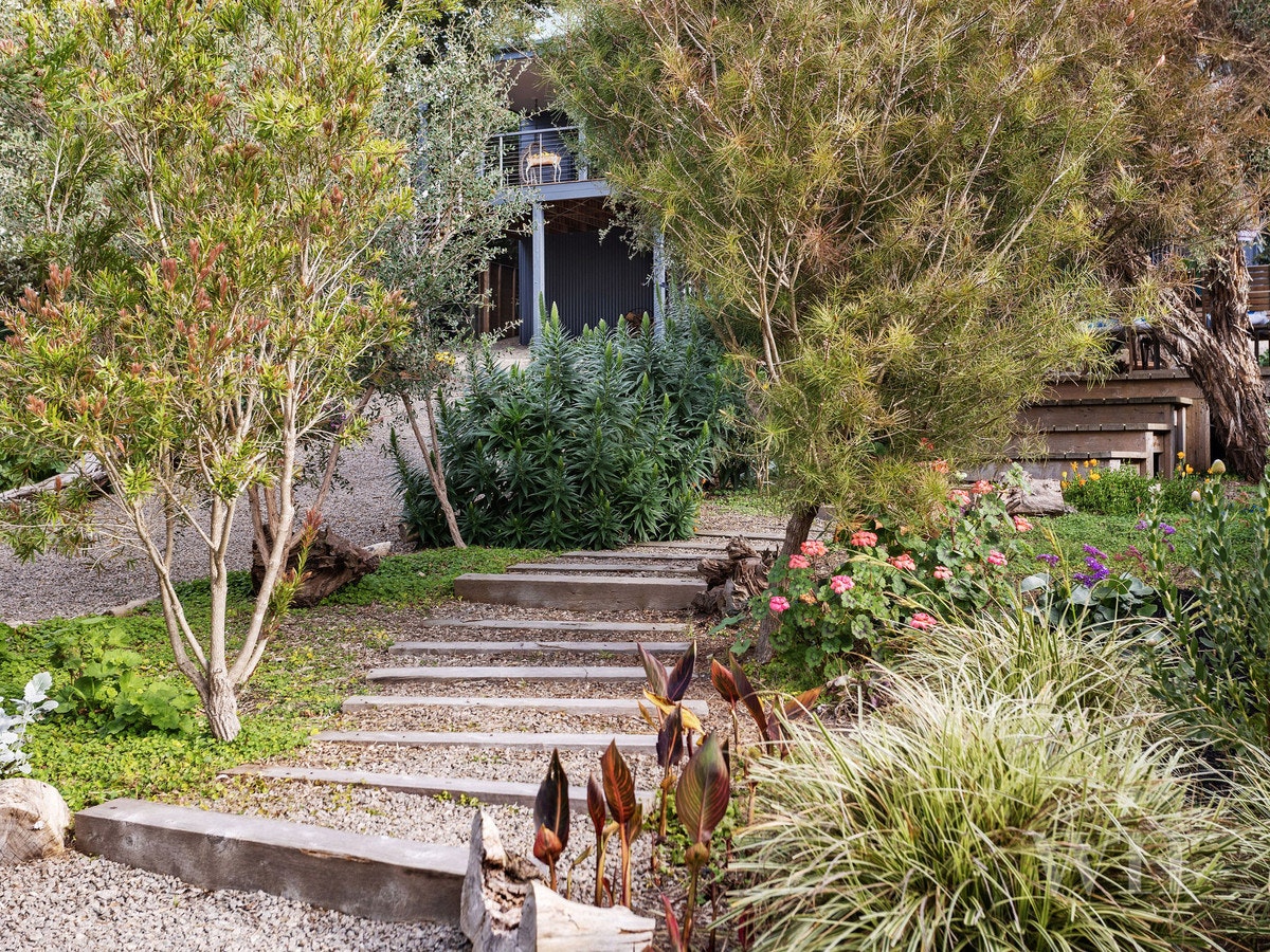Image of garden