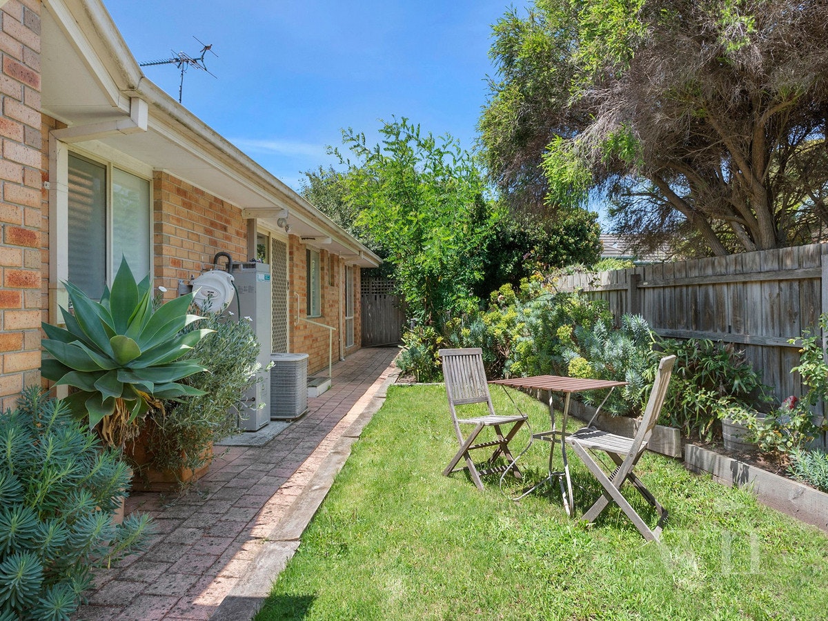 Image of backyard