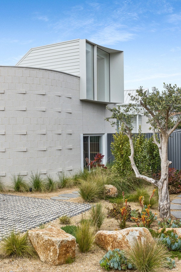 Image of backyard